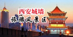 我操骚逼黄片中国陕西-西安城墙旅游风景区